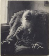 Beeldvergroting: De dichter Walt Whitman in 1891